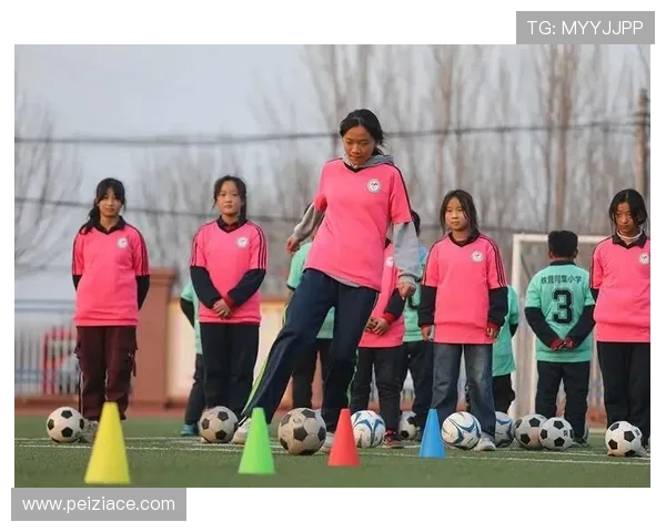 乐陵铁营镇中学足球赛事（乐陵市铁营镇改造项目）sports