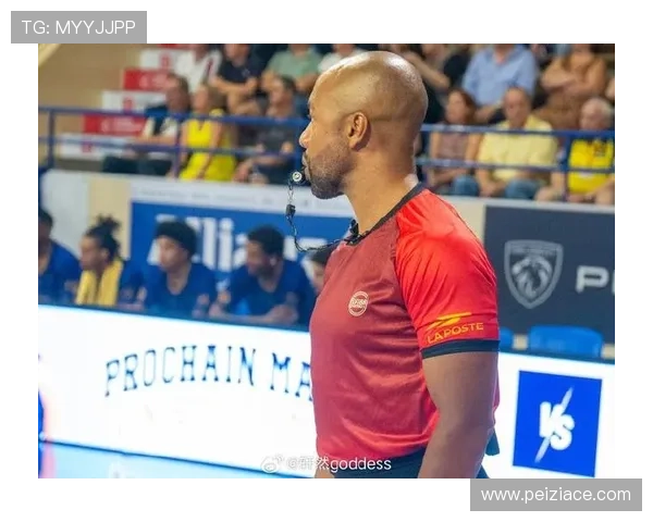 国际篮球联赛裁判招聘（国际篮球裁判员名单）sports